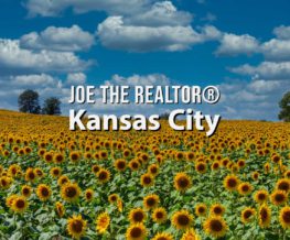 a field of sunflowers in kansas